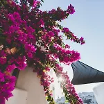 Appart hôtel Paliomylos Náoussa