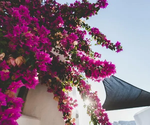 Appart hôtel Paliomylos Náoussa